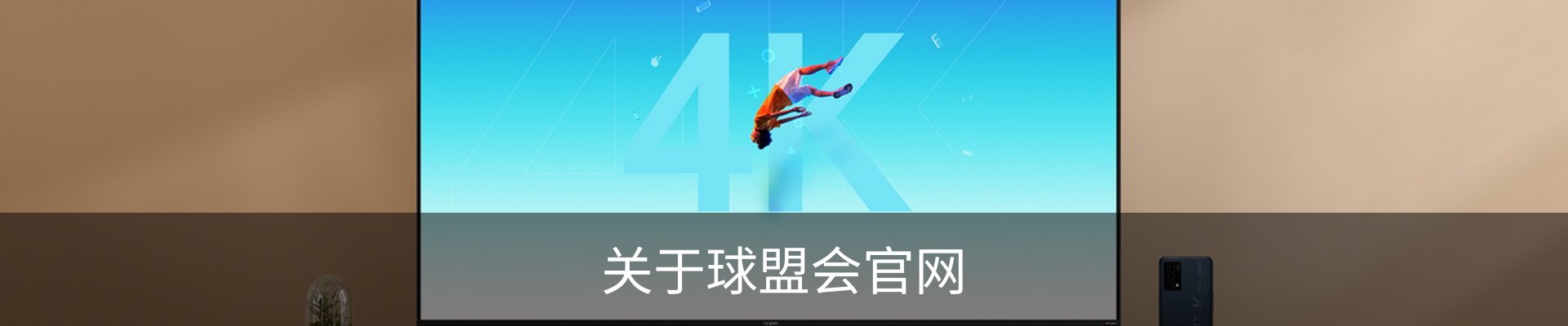关于球盟会官网