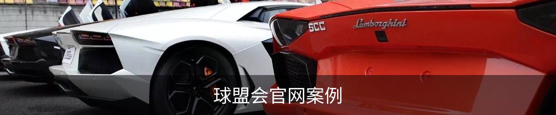 球盟会官网案例
